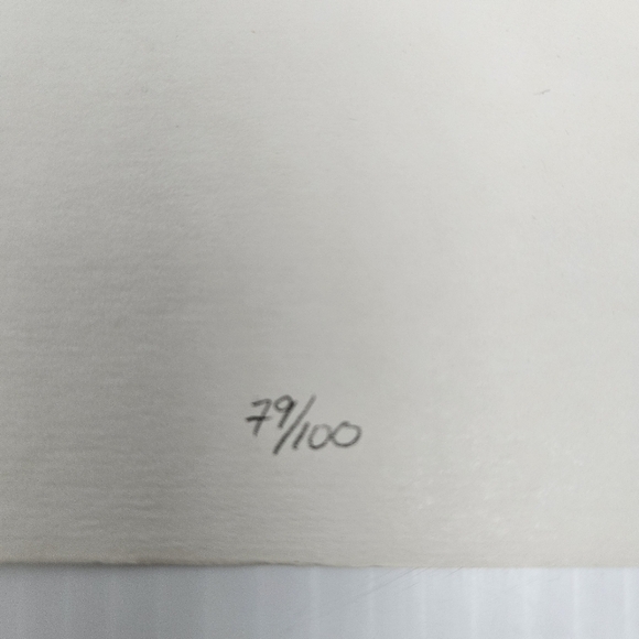 Harris Hawk Bird Art Prints Numbered & Artist Signed Wildlife Set Of 3 - Picture 11 of 16